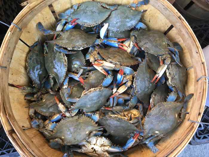 How to cook maryland style blue crabs